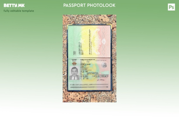 Модерен стил Шаблон за изглед на пасош на Гвинеја Бисао